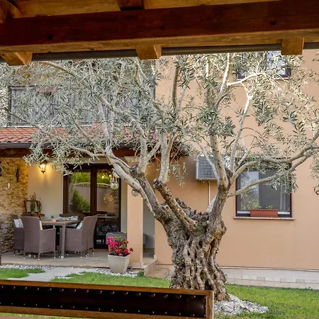 Sara S Vrtom Apartment Vantacici